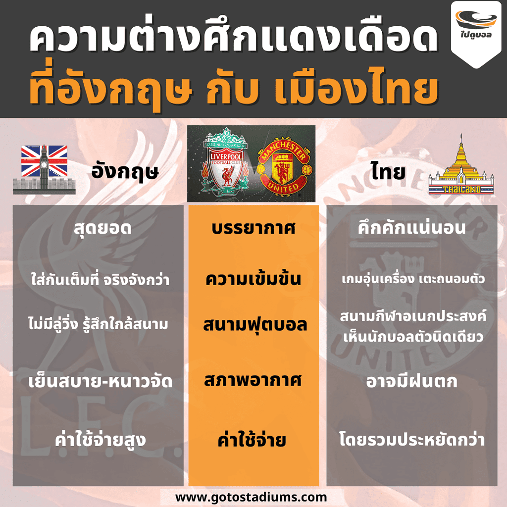 My Image 31